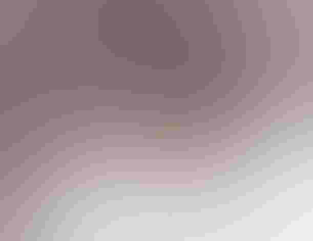 Immatures. Foto: Tom Ingram/Ô¼ÅÚÊÓÆµ Photography Awards