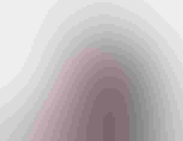 Immature. Foto: Tom Ingram/Ô¼ÅÚÊÓÆµ Photography Awards