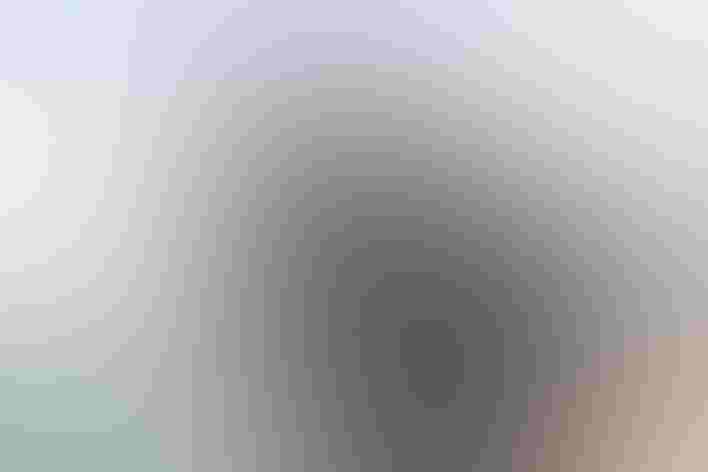 Juvenile. Foto: Tom Ingram/Ô¼ÅÚÊÓÆµ Photography Awards