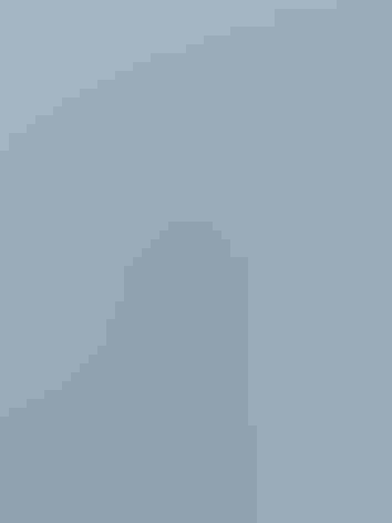 Non-breeding adult. Photo: Tamima Itani/Audubon Photography Awards