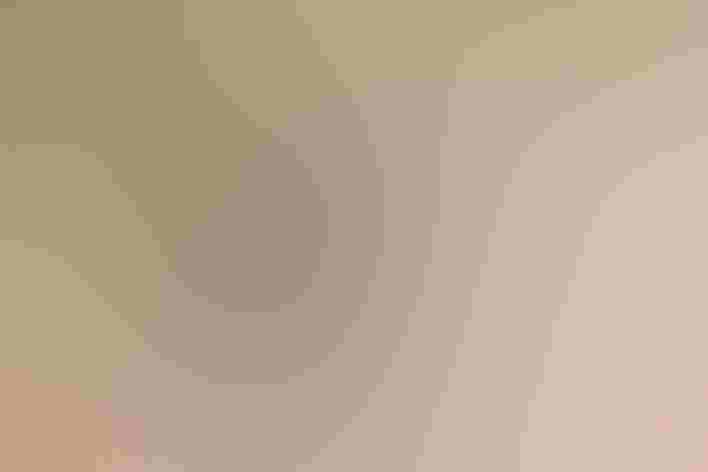 Adult male. Photo: Kimbely Holmes/³Ô¹ÏºÚÁÏ Photography Awards