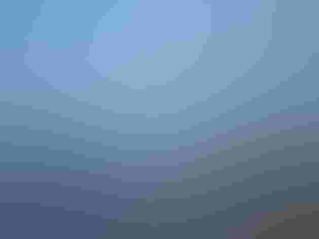 Adult male. Photo: Kimberly Reaves/³Ô¹ÏºÚÁÏ Photography Awards