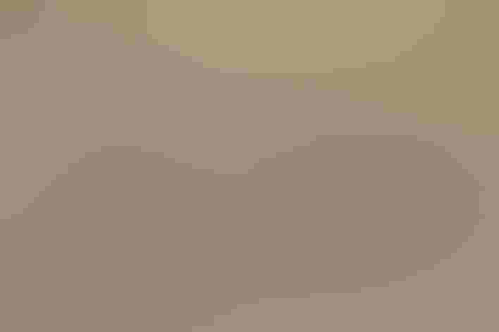 Juveniles. Photo: Danny Hancock/³Ô¹ÏºÚÁÏ Photography Awards