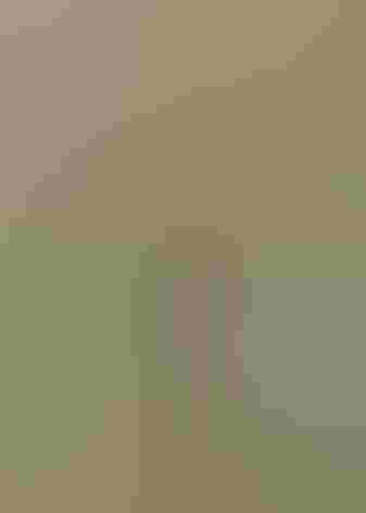 Adult male. Photo: Danny Hancock/Audubon Photography Awards