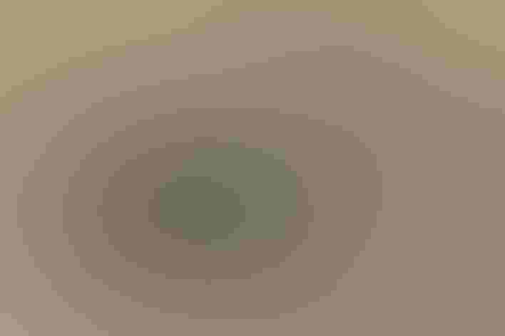 Adult male. Photo: Danny Hancock/³Ô¹ÏºÚÁÏ Photography Awards