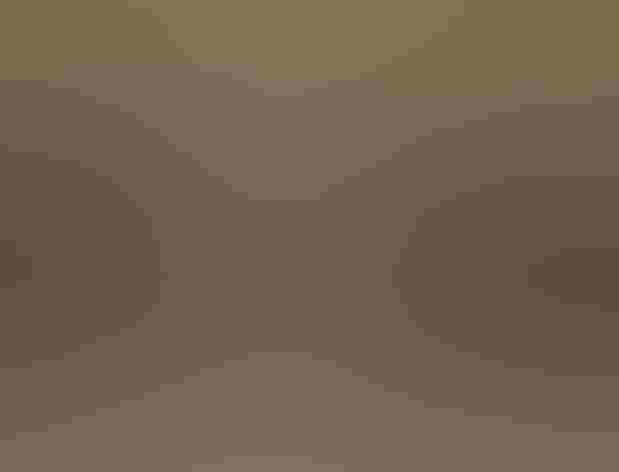 Adult male. Photo: Michael Sewell/³Ô¹ÏºÚÁÏ Photography Awards