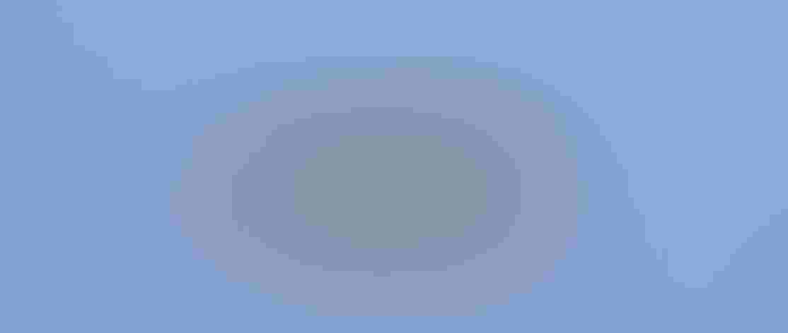 Adult female. Photo: Michael Sewell/³Ô¹ÏºÚÁÏ Photography Awards