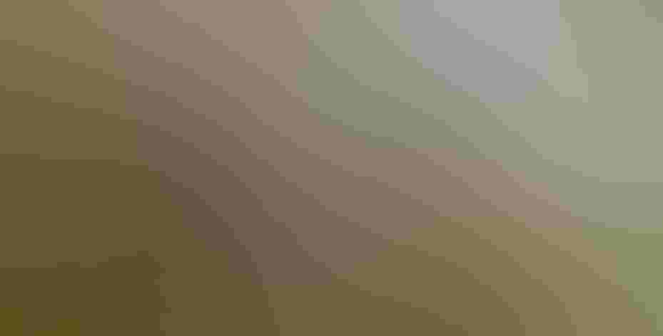 Adult male. Photo: David Siebold/³Ô¹ÏºÚÁÏ Photography Awards