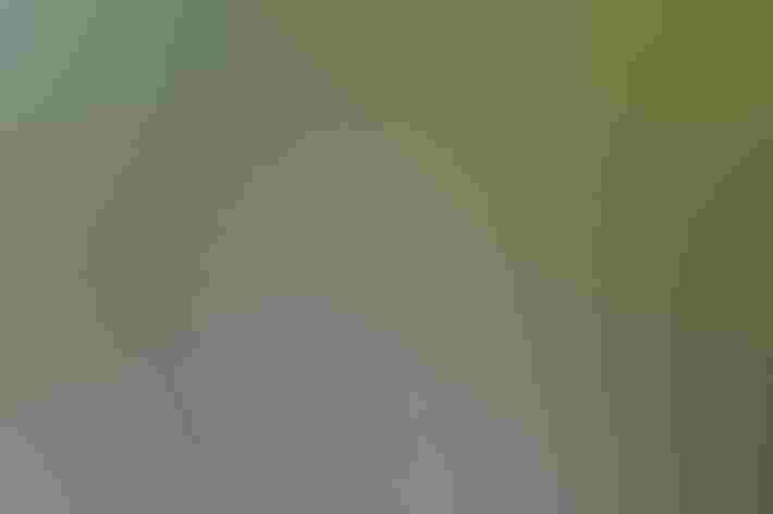 Adult. Photo: Natasha Redding/Ô¼ÅÚÊÓÆµ Photography Awards