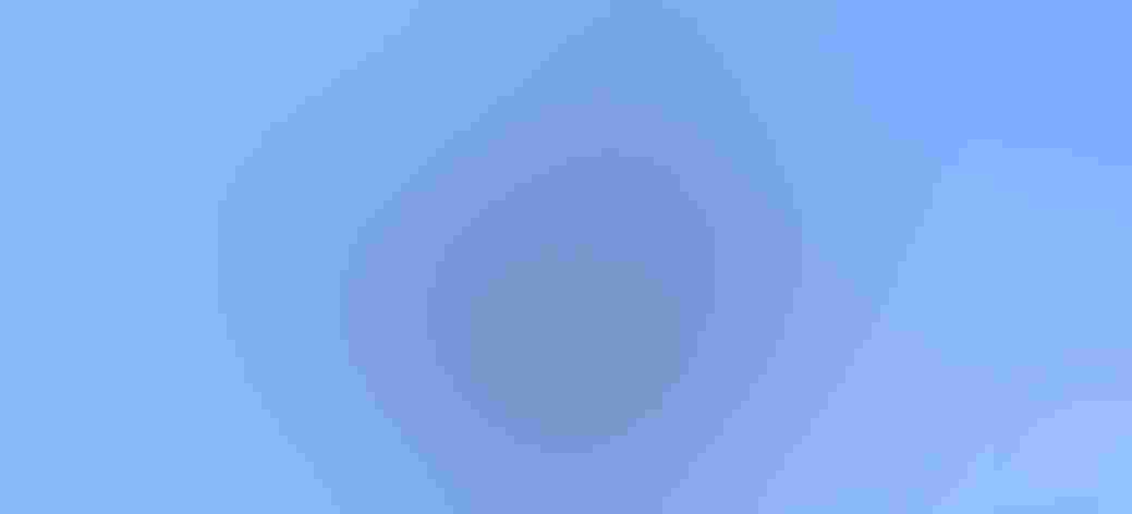 Adult male and juvenile. Photo: Richard La Belle/Audubon Photography Awards