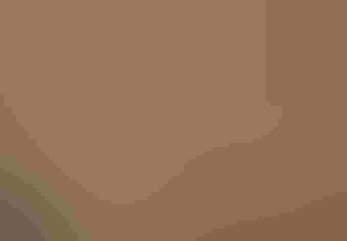 Adult. Photo: Randall Ennis/Audubon Photography Awards