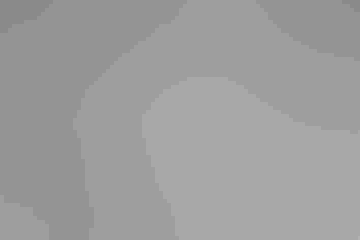 Adult. Photo: Ron Horn/³Ô¹ÏºÚÁÏ Photography Awards