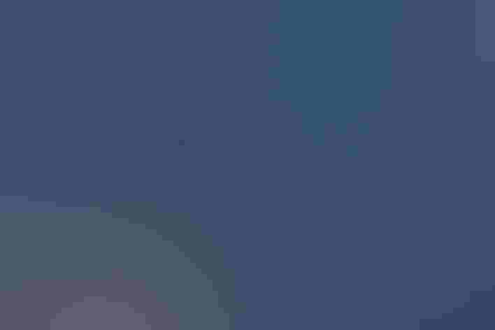 Adult. Foto: Richard Simonsen/Ô¼ÅÚÊÓÆµ Photography Awards