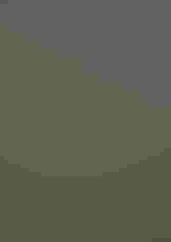 Breeding adult male. Photo: Ben Knoot/Audubon Photography Awards