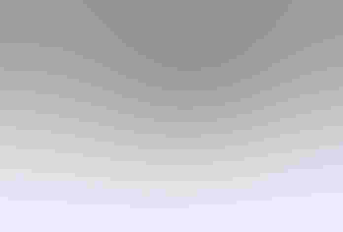 Adult. Photo: Mark Stensaas/³Ô¹ÏºÚÁÏ Photography Awards