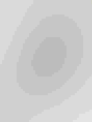 Adult male. Photo: Megumi Aita/³Ô¹ÏºÚÁÏ Photography Awards