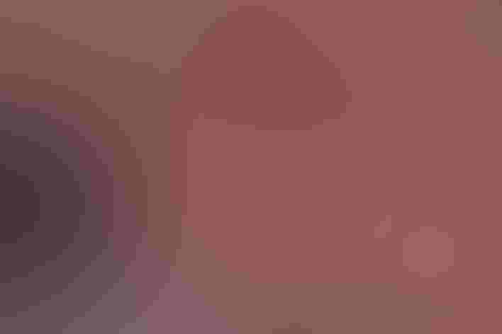 Adults. Foto: Angela Woodside/Ô¼ÅÚÊÓÆµ Photography Awards