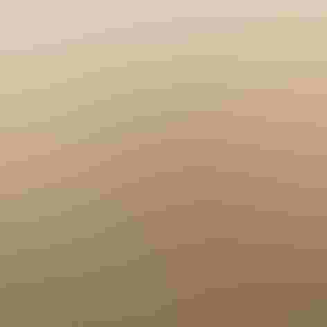 Adult (Red form) Photo: David Boltz/Audubon Photography Awards