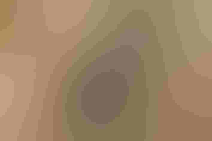 Adult male. Photo: John Richardson/³Ô¹ÏºÚÁÏ Photography Awards