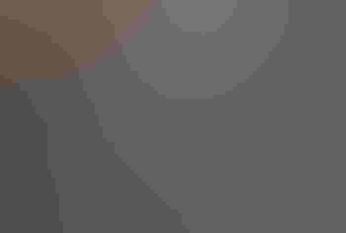 Adult. Photo: Mark Williams/³Ô¹ÏºÚÁÏ Photography Awards