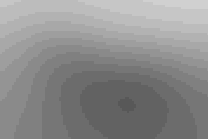 Breeding adult male and adult female. Photo: Bob Cochran/³Ô¹ÏºÚÁÏ Photography Awards