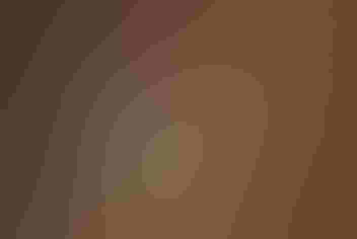 Adult. Photo: Joshua Parrott/³Ô¹ÏºÚÁÏ Photography Awards