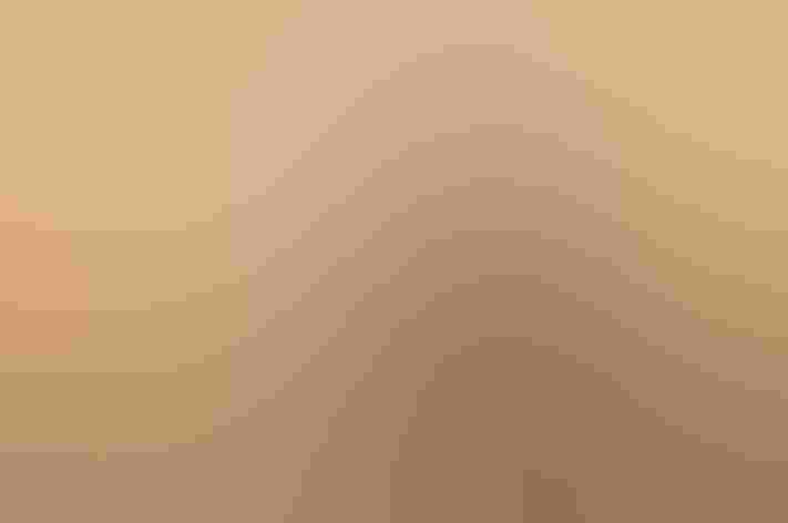 Adult. Photo: Barbara Baird/Audubon Photography Awards