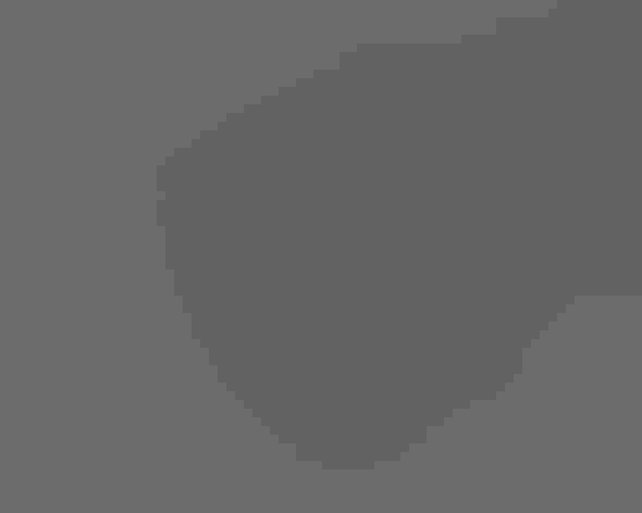 Breeding adult male. Photo: Dan Dietrich/³Ô¹ÏºÚÁÏ Photography Awards