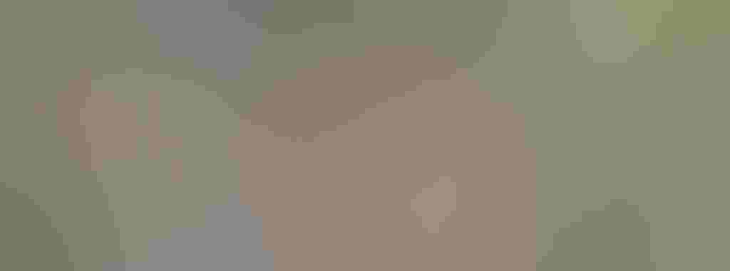 Immature male. Photo: Tracey Harmon/³Ô¹ÏºÚÁÏ Photography Awards