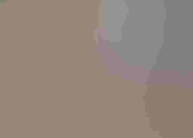 Adult male. Photo: Gail Bisson/³Ô¹ÏºÚÁÏ Photography Awards