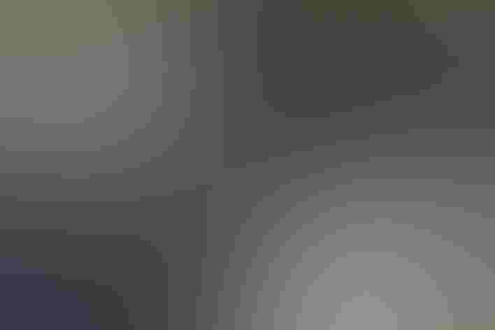 Adult. Photo: Gary Churchill/³Ô¹ÏºÚÁÏ Photography Awards