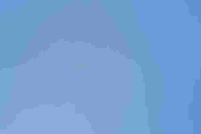 Gyrfalcon (Adult, gray morph) with Rock Pigeon. Photo: Harry Colquhuon/Ô¼ÅÚÊÓÆµ Photography Awards