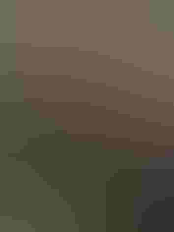 Adult and juvenile. Foto: Loi Nguyen/Ô¼ÅÚÊÓÆµ Photography Awards