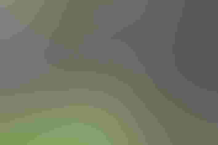 Adult. Photo: Seth Kapp/³Ô¹ÏºÚÁÏ Photography Awards