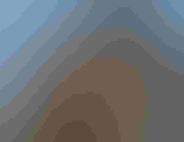 Adult. Photo: Steven Sachs/³Ô¹ÏºÚÁÏ Photography Awards