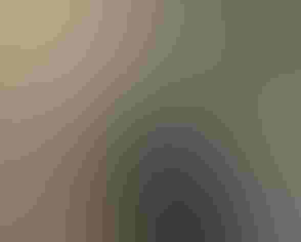 Juvenile. Foto: Tony Britton/Ô¼ÅÚÊÓÆµ Photography Awards