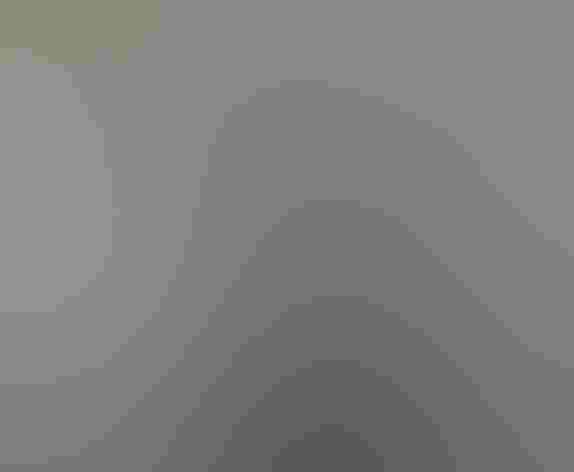 Adult male. Photo: Joseph Mahoney/³Ô¹ÏºÚÁÏ Photography Awards