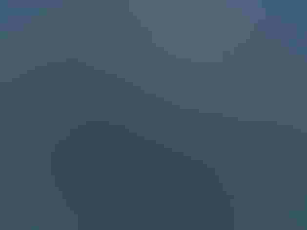 Immature. Photo: David Rowe/Audubon Photography Awards