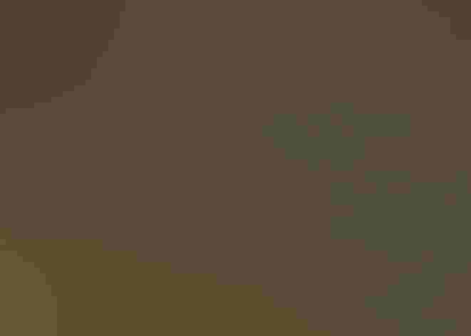 Adult male. Photo: Tom Ingram/³Ô¹ÏºÚÁÏ Photography Awards