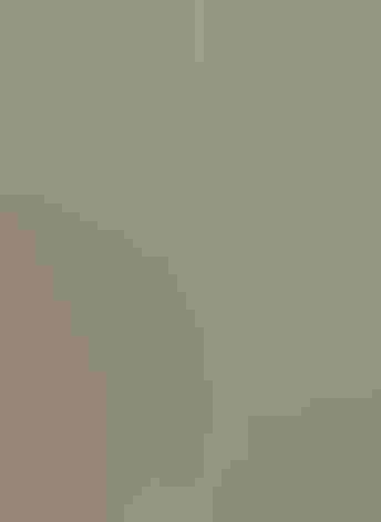 Adult. Photo: Sandra Rothenberg/Audubon Photography Awards