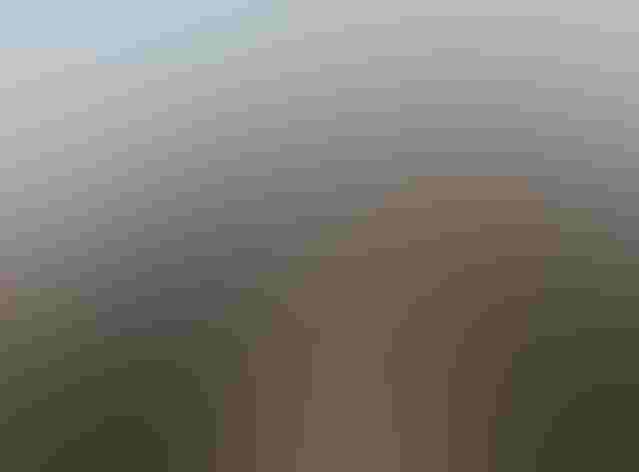 Adults. Foto: Marc Slattery/Ô¼ÅÚÊÓÆµ Photography Awards