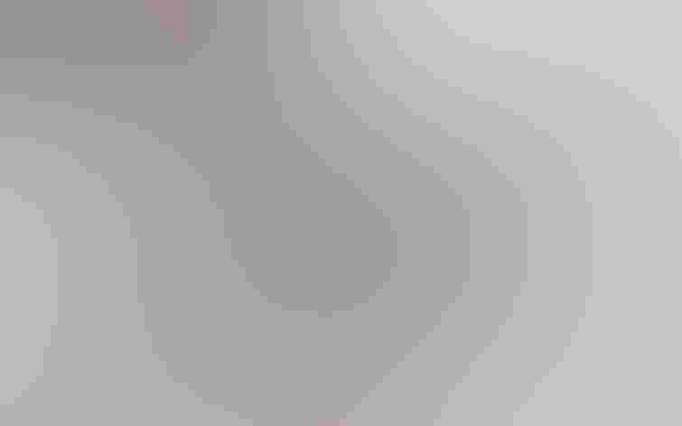 Adult. Photo: Sue Barth/³Ô¹ÏºÚÁÏ Photography Awards