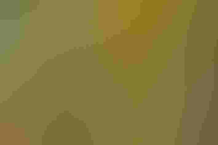 Adult. Photo: Jaime Lyons/³Ô¹ÏºÚÁÏ Photography Awards