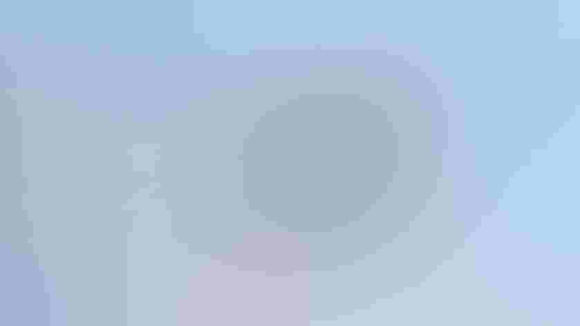 Adult. Photo: Marilyn Grubb/³Ô¹ÏºÚÁÏ Photography Awards