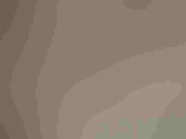 Adult. Photo: Karen Shea/³Ô¹ÏºÚÁÏ Photography Awards