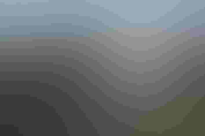 Nestling. Photo: Anton Sorokin/Audubon Photography Awards