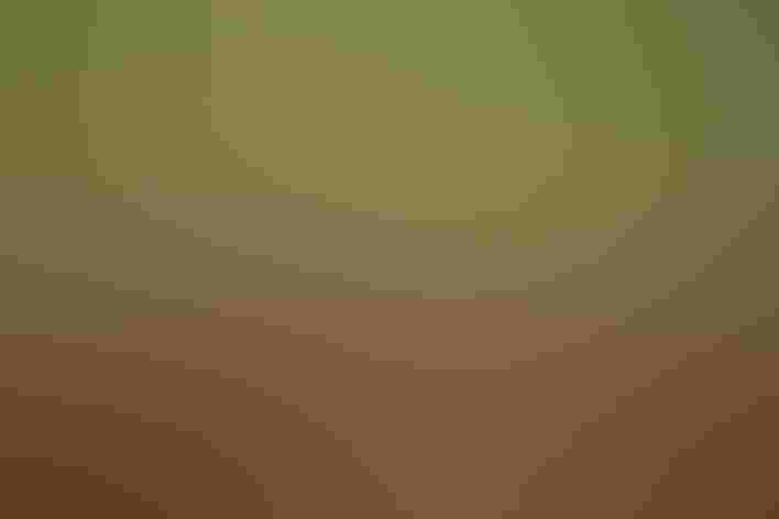 Adult and fledgling. Photo: Melody Lytle/Audubon Photography Awards