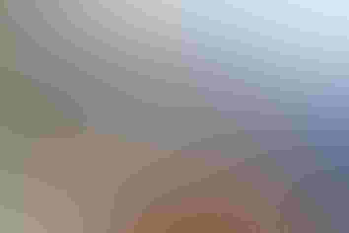 Adult. Foto: Madison Roberts/Ô¼ÅÚÊÓÆµ Photography Awards