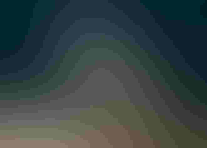 Juvenile. Photo: Eric Bégin/Flickr (CC BY NC ND 2.0)