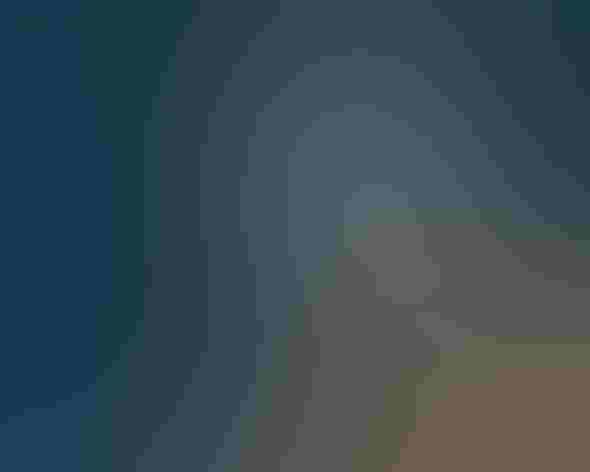 Juvenile. Photo: Eric Bégin/Flickr (CC BY NC ND 2.0)